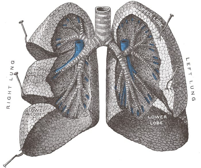 NIV Use in the ICU